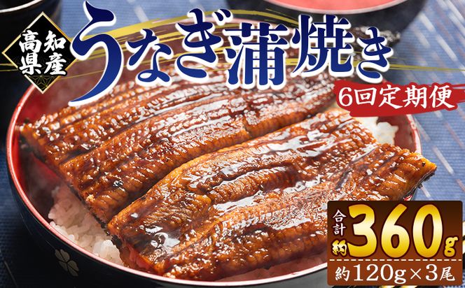 国産 うなぎ 定期便 100g～120g 3尾 6回 蒲焼き 高知県産 養殖 魚介 国産 海鮮 魚 かばやき 鰻 ウナギ 惣菜 おかず お手軽 加工品 加工食品 冷凍 Wfb-0043