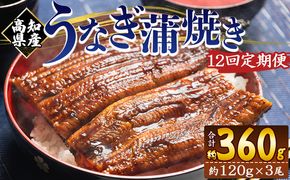 国産 うなぎ 定期便 100g～120g 3尾 12回 蒲焼き 高知県産 養殖 魚介 国産 海鮮 魚 かばやき 鰻 ウナギ 惣菜 おかず お手軽 加工品 加工食品 冷凍 Wfb-0044