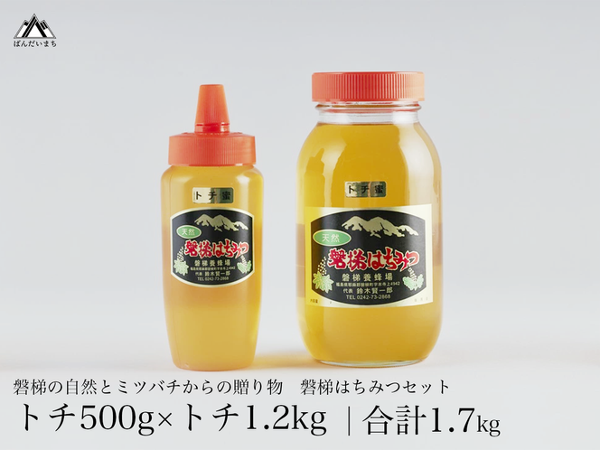 国産純粋はちみつ 天然 磐梯養蜂 磐梯はちみつ 1200g［瓶］ 1.2kg 500g［チューブ］1700g 1.7kg はちみつセット トチはちみつ トチみつ トチ蜜 蜂蜜 ハチミツ はちみつ HONEY ハニー 国産 産地直送 無添加