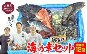 【定期便12回】朝獲れ海の幸セット（旬の鮮魚、海藻などの詰合せ）【0tsuchi01193】