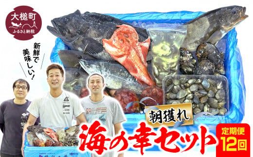 【定期便12回】朝獲れ海の幸セット（旬の鮮魚、海藻などの詰合せ）【0tsuchi01193】