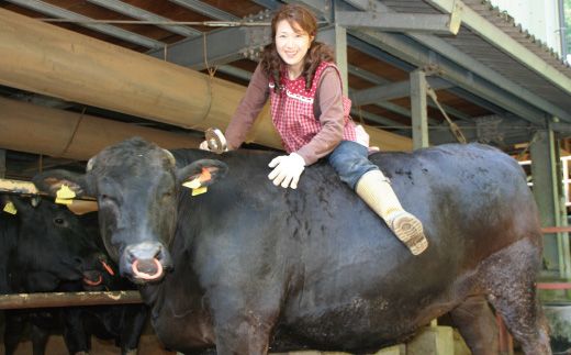 R5-977．幻のメス牛 四万十牛特選焼肉（約500ｇ）