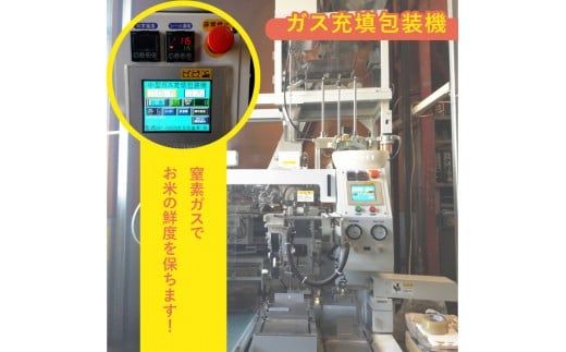 ＜令和5年産無洗米宮崎県産コシヒカリ 2kg×6＞翌々月末迄に順次出荷【c226_ag_x5】 合計12kg 米 無洗米 コシヒカリ