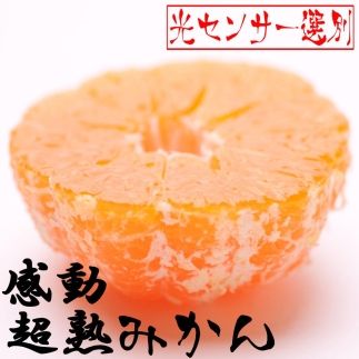 家庭用 超熟有田みかん2.5kg+75g(傷み補償分)[わけあり・訳あり][光センサー選果][2024年11月より発送] CZ007Z