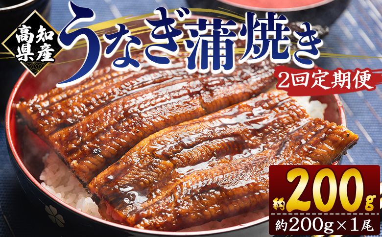 [2回定期便]高知県産養殖うなぎ蒲焼き 約200g×1尾 魚介 国産 海鮮 魚 かばやき 鰻 ウナギ 惣菜 おかず お手軽 加工品 加工食品 冷凍 Wfb-0045