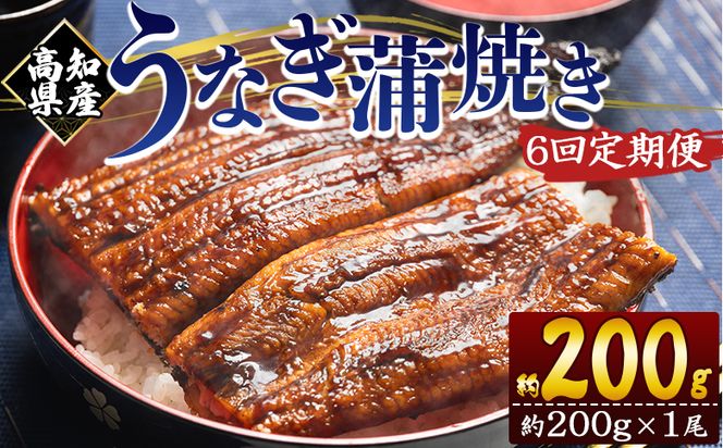 定期便 うなぎ 蒲焼き 約200g １尾 6回 高知県産 養殖 魚介 国産 海鮮 魚 かばやき 鰻 ウナギ 惣菜 おかず お手軽 加工品 加工食品 冷凍 Wfb-0047