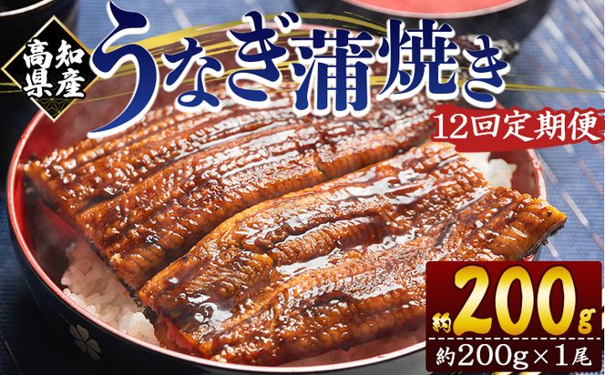 定期便 うなぎ 蒲焼き 約200g １尾 12回 高知県産 養殖 魚介 国産 海鮮 魚 かばやき 鰻 ウナギ 惣菜 おかず お手軽 加工品 加工食品 冷凍 Wfb-0048