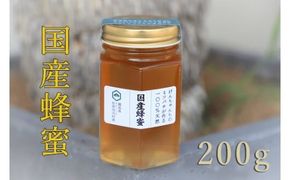 けんちゃんちのはちみつ（200g）小《30日以内に出荷予定（土日祝除く）》---tsm_mkf1_30d_25_6500_200g---
