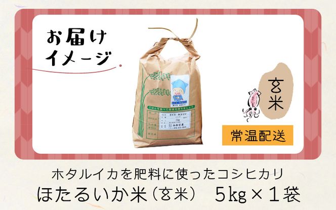 【新米】ほたるいか米（新米/玄米５kg）