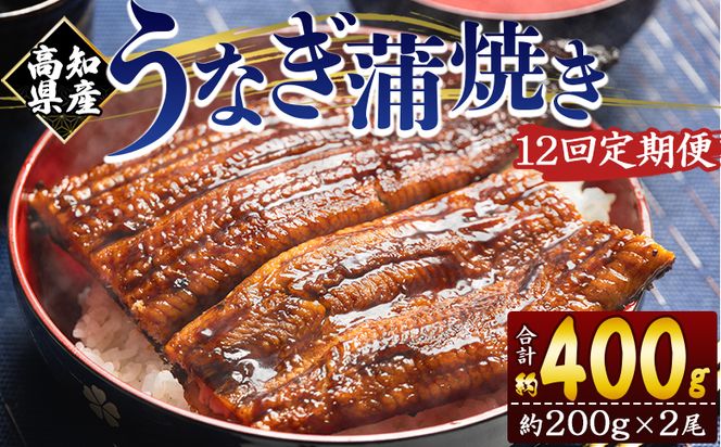 定期便 うなぎ 蒲焼き 約200g 2尾 12回 高知県産 養殖 魚介 国産 海鮮 魚 かばやき 鰻 ウナギ 惣菜 おかず お手軽 加工品 加工食品 冷凍 Wfb-0052