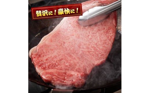 《数量限定》宮崎牛ロースステーキ3枚 (750g) 肉 牛肉 宮崎県産 黒毛和牛 [D0603]