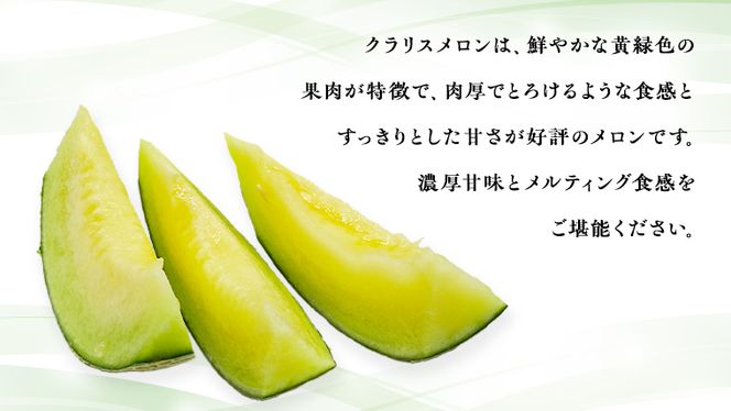 【 令和8年産 】【 先行予約 】クラリスメロン 秀品 1箱 2玉入り 飯岡 メロン クラリス 青肉 果物 フルーツ 甘い [CG004ya]