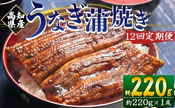 国産 うなぎ 定期便 12回 約220g １尾 蒲焼き 高知県産 養殖 魚介 国産 海鮮 魚 かばやき 鰻 ウナギ 惣菜 おかず お手軽 加工品 加工食品 冷凍 Wfb-0060