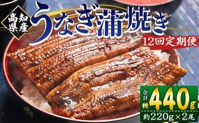 国産 うなぎ 定期便 12回 約220g 2尾 蒲焼き 高知県産 養殖 魚介 国産 海鮮 魚 かばやき 鰻 ウナギ 惣菜 おかず お手軽 加工品 加工食品 冷凍 Wfb-0064