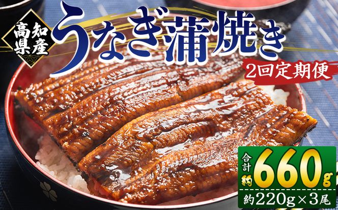 国産 うなぎ 定期便 2回 約220g 3尾 蒲焼き 高知県産 養殖 魚介 国産 海鮮 魚 かばやき 鰻 ウナギ 惣菜 おかず お手軽 加工品 加工食品 冷凍 Wfb-0065