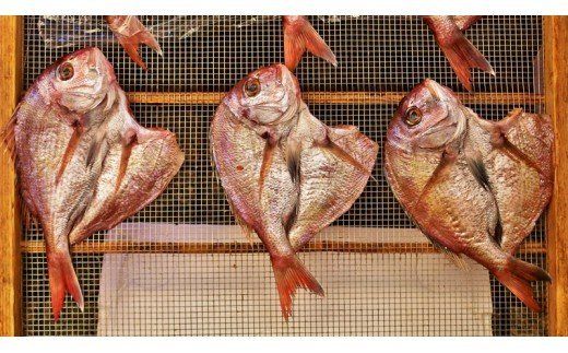 大きな天然鯛の一夜干し/3尾で1.2kg以上_1061R