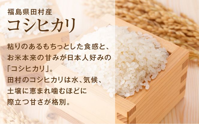 【 無洗米 】令和7年産 コシヒカリ 20kg ( 5kg × 4袋 )   米 お米マイスター 食味鑑定士 福島県産 田村市 安藤米穀店