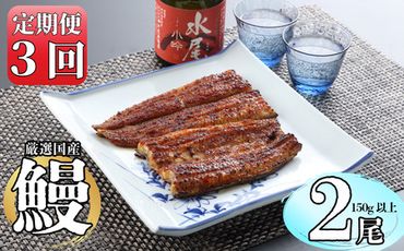 【定期便・冷蔵配達】明治37年創業「本多」国産鰻蒲焼2尾（150g以上×2）・うなぎおつまみ付(B-9.2)