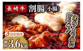 【3回定期便】長崎牛 割腸 (小腸) 焼肉・ホルモン 鍋 用 1.2kg / ホルモン 牛 もつ鍋 南島原市 / はなぶさ [SCN118]