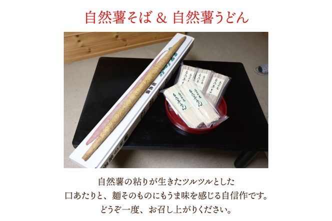 AJ002　益子・まるほ農園の自然薯そばと自然薯うどん　10袋セット