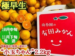 極早生 有田 みかん 小玉ちゃん 等級 混合 2.2kg 南泰園 和歌山 有田みかん  	BS624