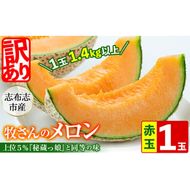 【春限定・数量限定】牧さんの訳ありメロン 赤玉(赤肉)1玉 a1-057