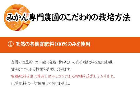 【2024年秋頃発送予約分】【農家直送】こだわりの青切りみかん 約7.5kg  有機質肥料100%　 サイズ混合　※2024年9月下旬より順次発送予定（お届け日指定不可）【nuk107C】