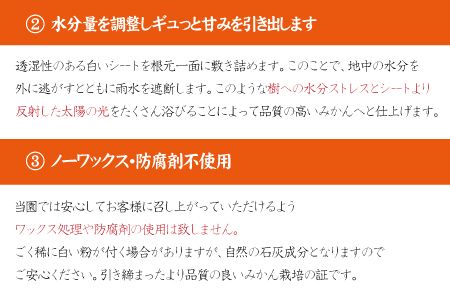 【2024年秋頃発送予約分】【農家直送】こだわりの青切りみかん 約7.5kg  有機質肥料100%　 サイズ混合　※2024年9月下旬より順次発送予定（お届け日指定不可）【nuk107C】