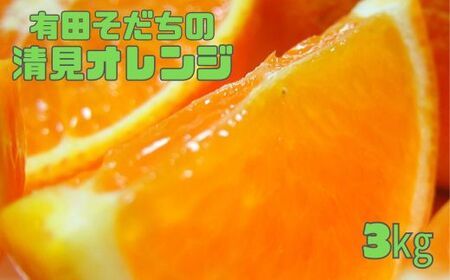 有田育ちの完熟清見オレンジ(ご家庭用)　3kg+200g(補償分)【2027年2月下旬～5月上旬頃に順次発送予定】【ard016C】