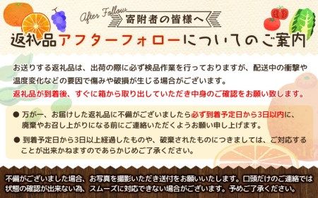 【先行予約】有田育ちの濃厚不知火(ご家庭用)(通称デコポン)　約5kg【ard021A】