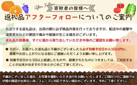 有田育ちの爽快セミノールオレンジ(ご家庭用)　約5kg【2025年4月上旬～4月下旬順次発送予定】【ard025A】