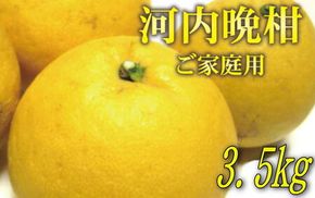 【2025年4月中旬～5月下旬発送】【和製グレープフルーツ】有田育ちの河内晩柑(ご家庭用)　約3.5kg【ard028A】