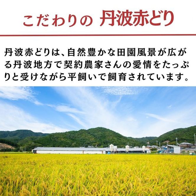 鶏肉 小分け 丹波赤どり 手羽中 4kg（500g×8パック）≪訳あり 国産 地鶏 手羽中ハーフ 業務用 冷凍 送料無料≫