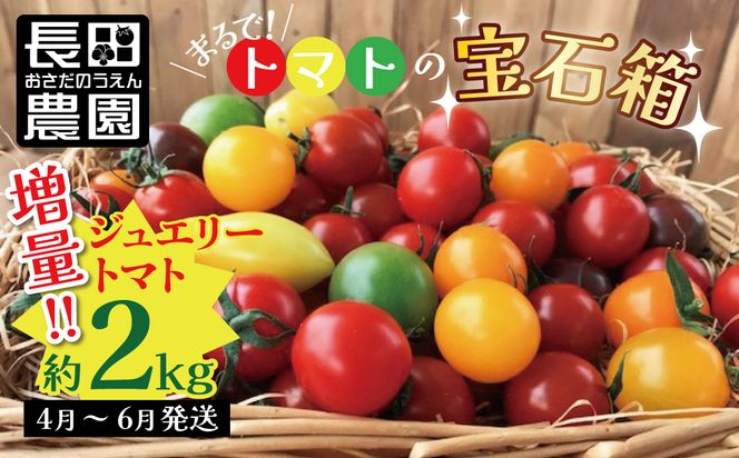 増量2kg！まるでトマトの宝石箱！フルーツジュエリートマト 4月～6月発送　H004-146