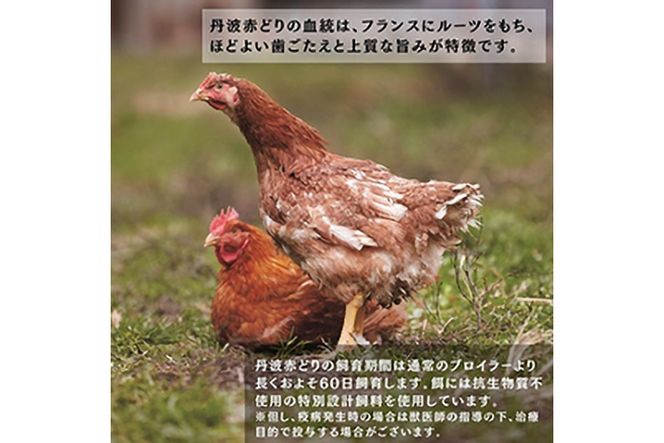 【訳あり】【12回定期便】丹波赤どり もも肉 2kg （1kg ×2パック×12回）計24kg＜京都亀岡丹波山本＞業務用 鶏肉 鶏 モモ肉 冷凍 12ヶ月 1年間