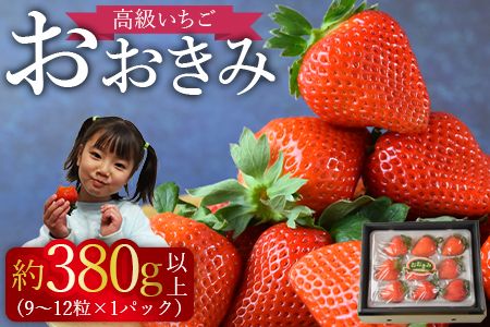 ＜高級いちご「おおきみ」（9～12粒×1パック約380g以上）＞2025年1月上旬～4月末迄に順次出荷【a0283_sn_x1】