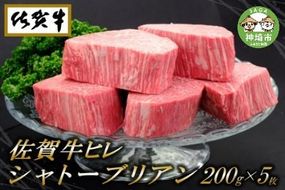 佐賀牛ヒレシャトーブリアン200g×5枚【ステーキ ヒレ 冷凍 A4 A5 赤身 牛肉 希少部位 ブランド牛 送料無料 人気 ランキング 佐賀県産 黒毛和牛】(H065119)