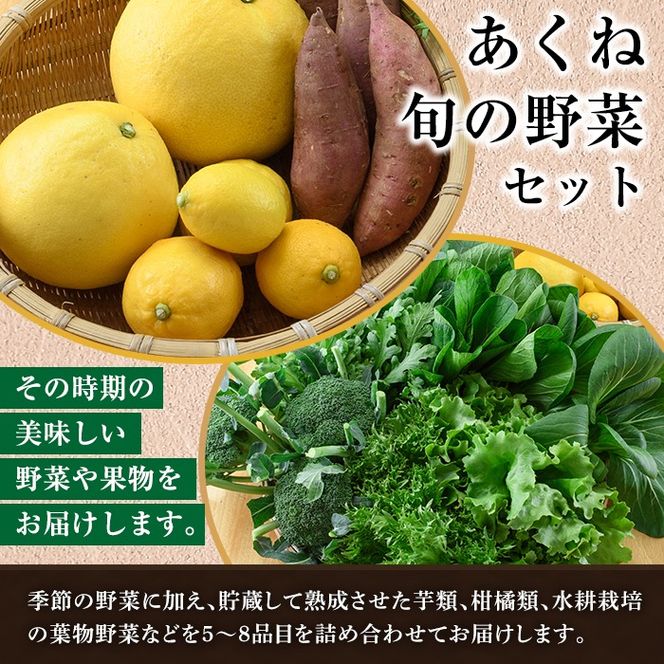 ＜定期便・全2回(6月・11月)＞あくね旬の野菜おまかせセット(5～8品目) 小松菜、レタス、青梗菜の3品目とその他野菜2品目以上を詰め合わせて全2回お届け！ ふるさと納税 阿久根市 特産品 野菜 お楽しみ さつまいも 芋【合同会社グッドフィールド】akn056-19