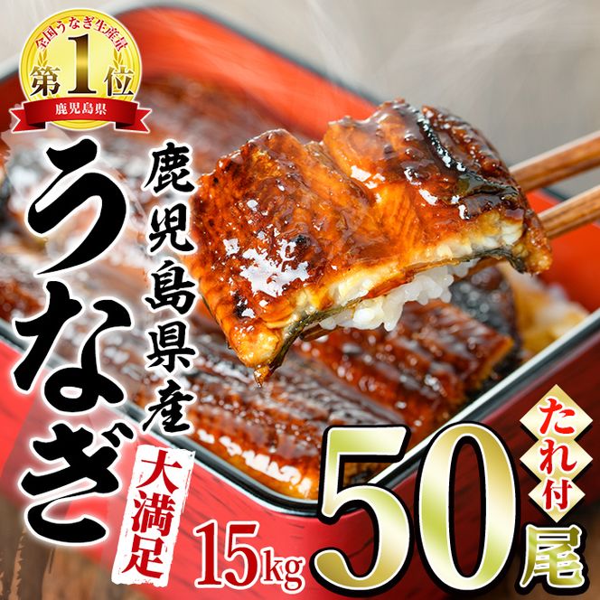 【5004307a】＜大満足＞東串良町のうなぎ蒲焼(無頭)(300g×50尾・計約15000g・タレ、山椒付)うなぎ 高級 ウナギ 鰻 国産 蒲焼 蒲焼き たれ 鹿児島 ふるさと 人気【アクアおおすみ】