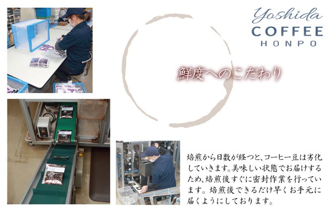 005A543 小箱ギフト3箱セット バリ アラビカ神山 吉田珈琲本舗 【珈琲 こーひー コーヒー 自家焙煎 オリジナル ギフト キャンプ アウトドア 家計応援】