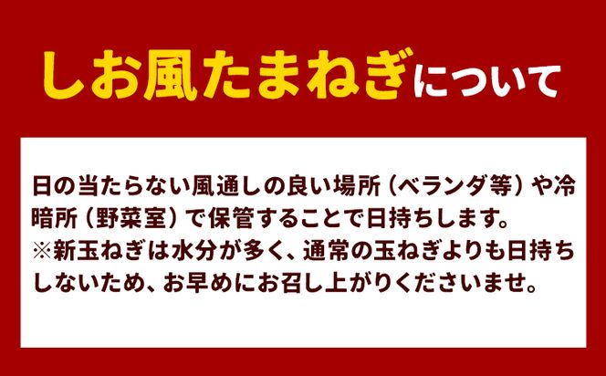 【先行予約】 しお風新たまねぎ 約10kg 先行予約《5月中旬-6月上旬頃出荷》 玉ねぎ 新たまねぎ 玉葱 たまねぎ 新玉 野菜 青果物 岡山県 笠岡市---kasaoka_zsy_140_10---