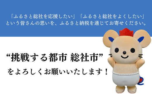 【返礼品なし応援寄附】岡山県総社市（1000円） 22-001-001