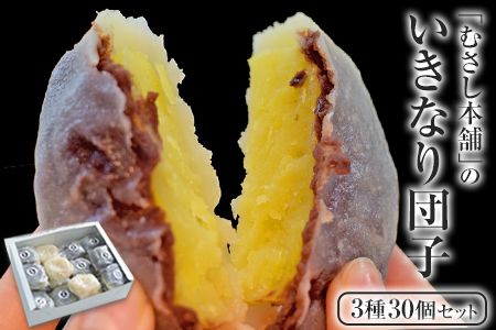 むさし本舗のいきなり団子 30個入り(黒粒10個、黒こし10個、白あん10個) 熊本県長洲町《60日以内に出荷予定(土日祝除く)》---sn_fmusasidango_60d_r7_13500_30p---