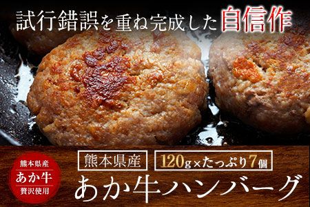 あか牛ハンバーグ《7-14日以内に出荷予定(土日祝除く)》熊本産あか牛を使用した贅沢ハンバーグたっぷり7個入り---oz_fschamburg_wx_r7_14000_840g---