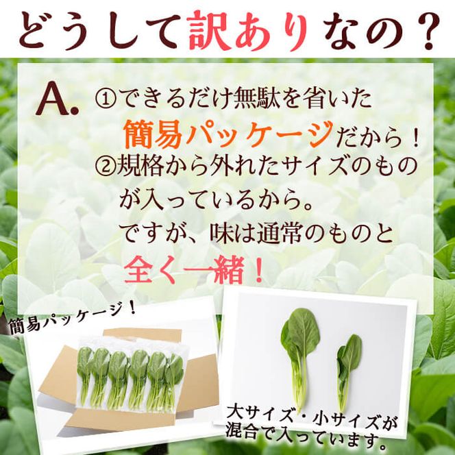 【期間限定・訳あり】志布志湾小松菜ゴールド(計2kg 200g×10袋) a1-021