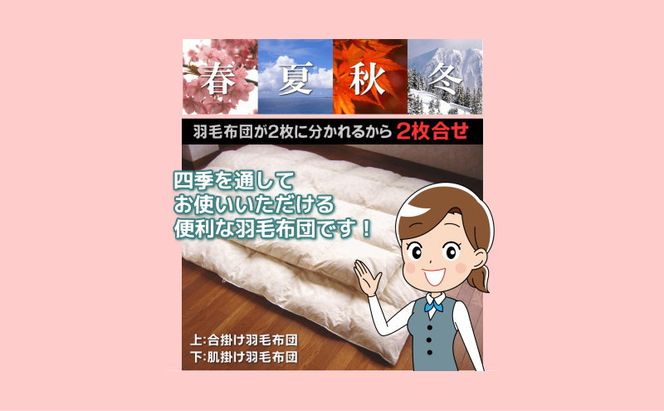 AM047【クィーン】 【ロイヤルゴールドラベル】フランス産ホワイトダック93%2枚合わせ羽毛ふとん【新津】｜合い掛け　肌掛け　オールシーズン