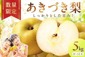 【先行予約／数量限定300】京丹後産 あきづき梨 5kg（8～12玉）（2026年9月中旬～発送）　DE00161