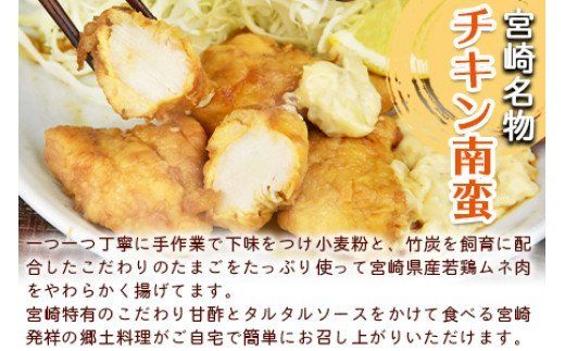 ＜宮崎名物 チキン南蛮（10パックセット）タルタル・甘酢付＞準備でき次第翌々月までに順次発送【a0057_hi】