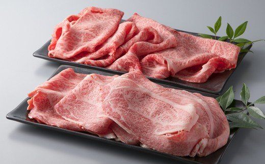 yꌧszyA-006zgX ߍ][X؂藎Ƃv1kg mIin