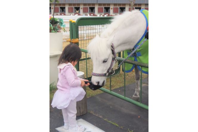 B-169 宿泊・ホーストレッキングセット利用券